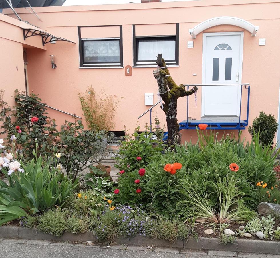 Apartamento Flat Offenburg Exterior foto